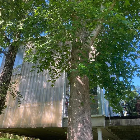 Hébergement de vacances Casa-loft Suspendida Entre Arboles